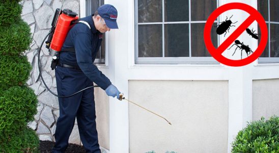 Bornova Akrep İlaçlama böcek ilaçlama ve haşere kontrolü — ilaclama-tr.com